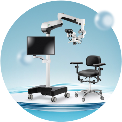 зрите в корень.jpg