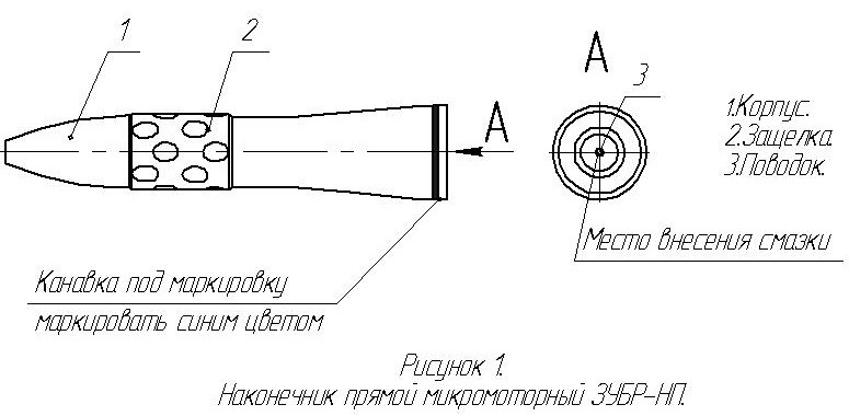 zubr4.jpg