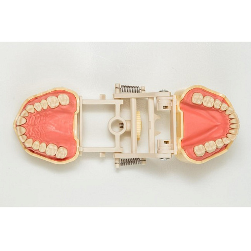 Jingle JG-J1 - фантомная челюсть